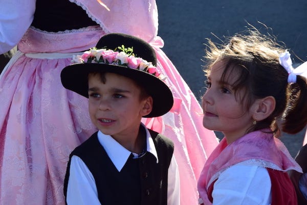 Wildpferde stehen im Wasser der Donau im Banat in Rumänien. Dokumentarfilm Im Vorgarten der Karpaten. Folge 2 Das Banat. arte 2020. Produktion: Micafilm