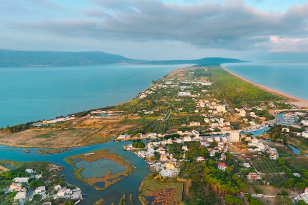 Korallen in der Adria vor Italien