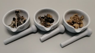 Drei Mörserschalen mit Pilzen