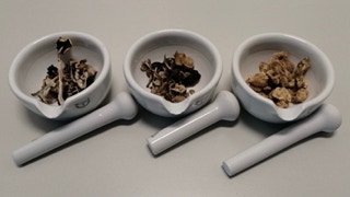 Drei Mörserschalen mit Pilzen