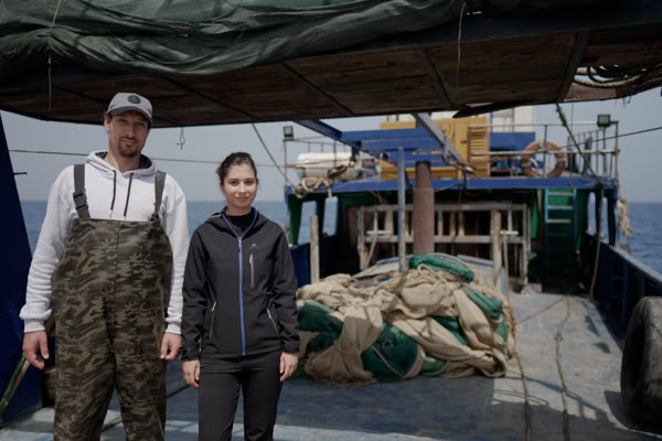 Inseln in der Bucht von Kotor in Kroatien.